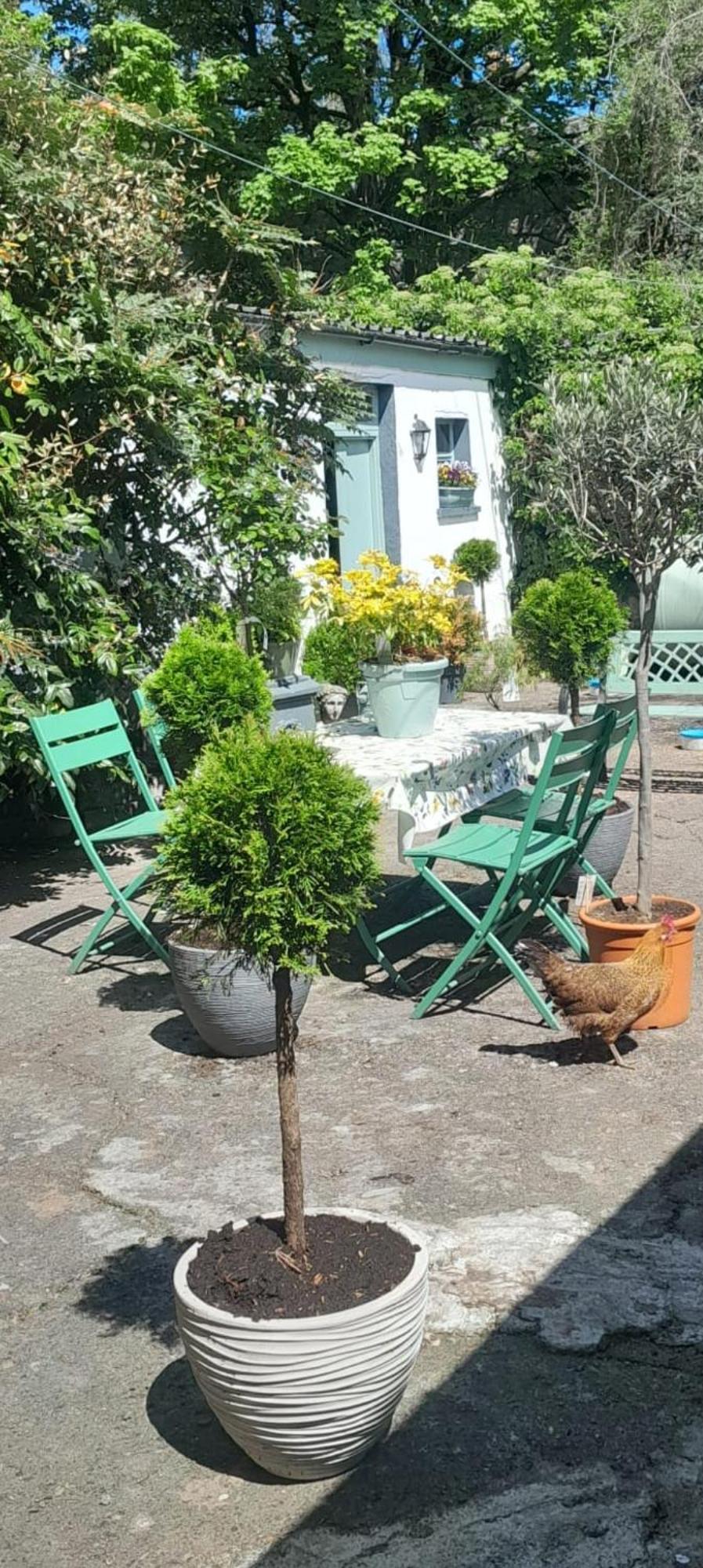 Saint Martin'S Bed And Breakfast Бандон Экстерьер фото